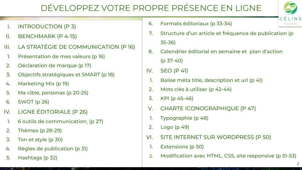 Sommaire de développer ma propre présence en ligne